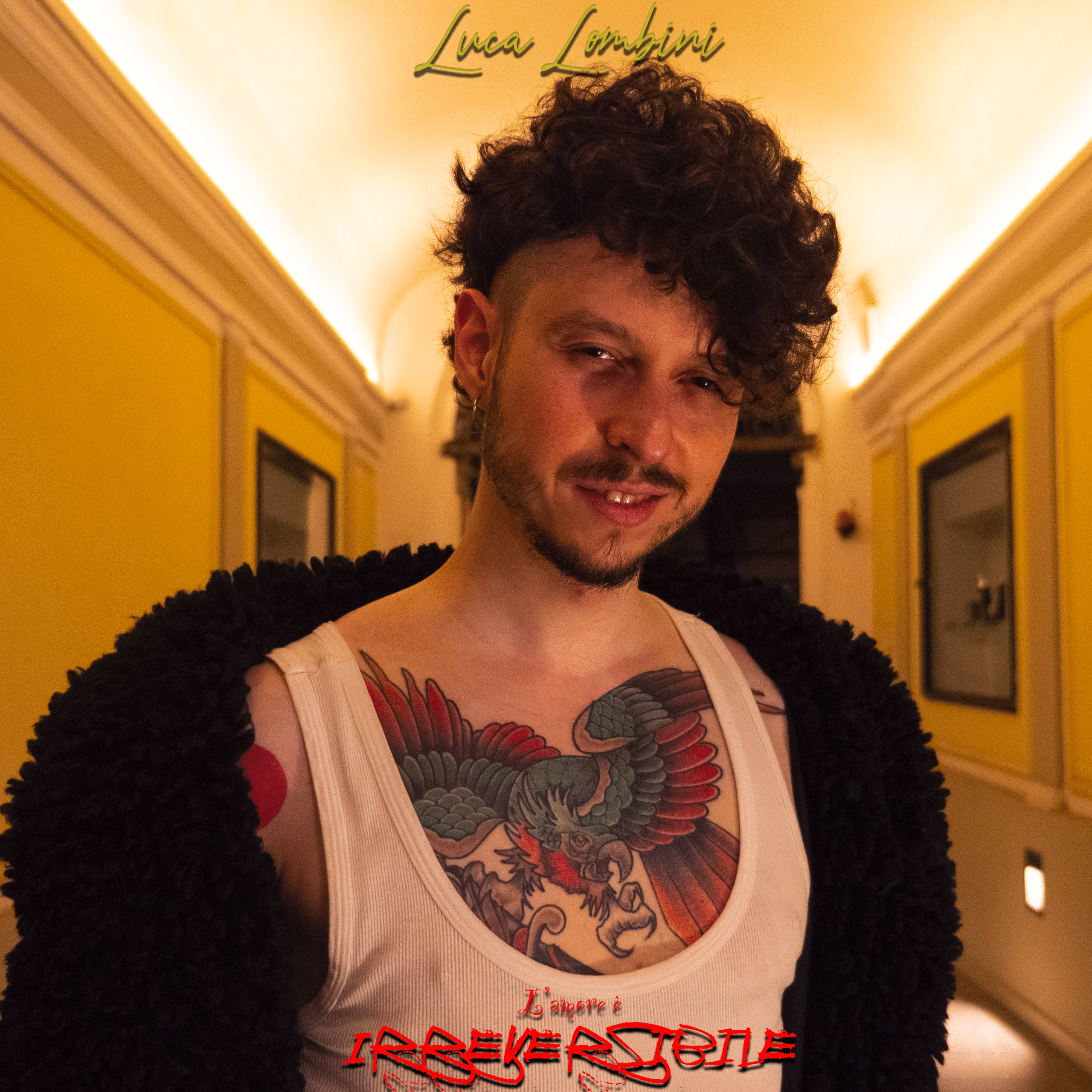 luca amore irreversibile corretta